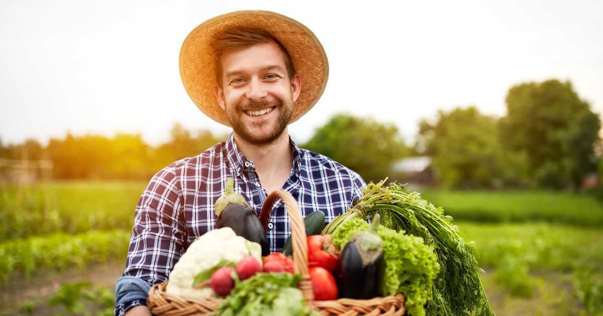 Como Plantar Sementes de Vegetais em um Belo Jardim Residencial